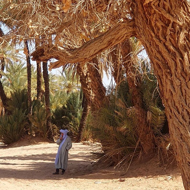 berber onder boom in de Erg Chebbi woestijn Marokko